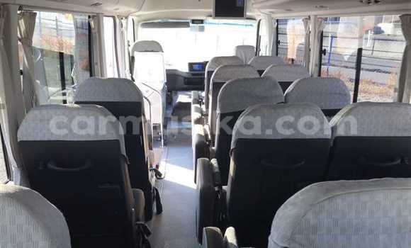 Buy Used Hino 300 Beige Truck in Beitbridge in Matabeleland South Buy Used Hino 300 Beige Truck in Beitbridge in Matabeleland South