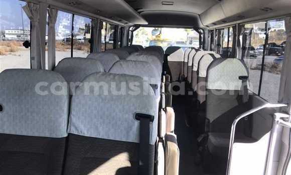 Buy Used Hino 300 Beige Truck in Beitbridge in Matabeleland South Buy Used Hino 300 Beige Truck in Beitbridge in Matabeleland South