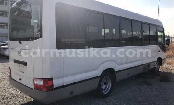 Buy Used Hino 300 Beige Truck in Beitbridge in Matabeleland South Buy Used Hino 300 Beige Truck in Beitbridge in Matabeleland South