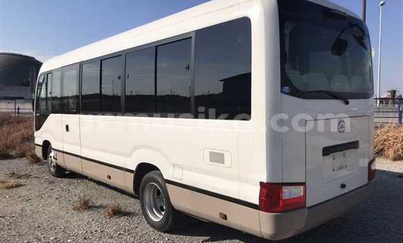 Buy Used Hino 300 Beige Truck in Beitbridge in Matabeleland South Buy Used Hino 300 Beige Truck in Beitbridge in Matabeleland South