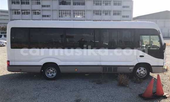 Buy Used Hino 300 Beige Truck in Beitbridge in Matabeleland South Buy Used Hino 300 Beige Truck in Beitbridge in Matabeleland South