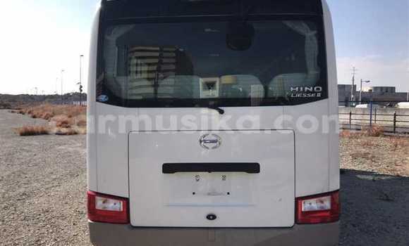 Buy Used Hino 300 Beige Truck in Beitbridge in Matabeleland South Buy Used Hino 300 Beige Truck in Beitbridge in Matabeleland South