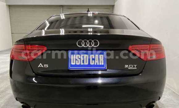 Tenga Tsaru Audi A5 Nhema Mota in Beitbridge in Matabeleland South Tenga Tsaru Audi A5 Nhema Mota in Beitbridge in Matabeleland South