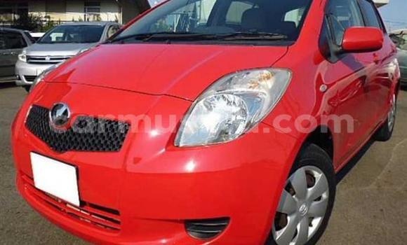 Buy Used Toyota Vitz Red Car in Beitbridge in Matabeleland South