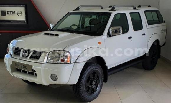 Tenga Tsaru Nissan NP 300 Chena Mota in Beitbridge in Matabeleland South
