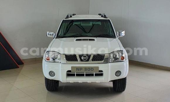 Tenga Tsaru Nissan NP 300 Chena Mota in Beitbridge in Matabeleland South Tenga Tsaru Nissan NP 300 Chena Mota in Beitbridge in Matabeleland South