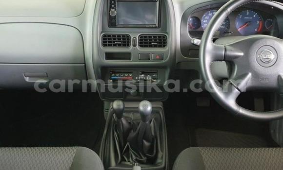 Tenga Tsaru Nissan NP 300 Chena Mota in Beitbridge in Matabeleland South Tenga Tsaru Nissan NP 300 Chena Mota in Beitbridge in Matabeleland South