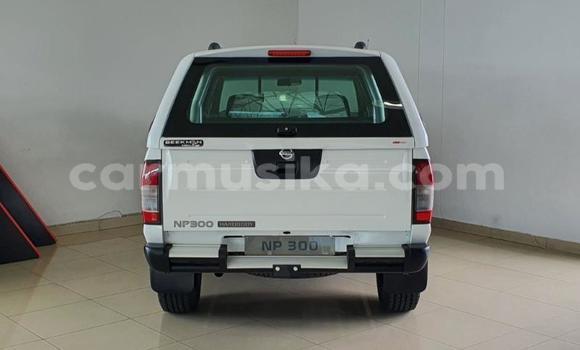 Tenga Tsaru Nissan NP 300 Chena Mota in Beitbridge in Matabeleland South Tenga Tsaru Nissan NP 300 Chena Mota in Beitbridge in Matabeleland South