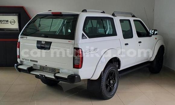 Tenga Tsaru Nissan NP 300 Chena Mota in Beitbridge in Matabeleland South Tenga Tsaru Nissan NP 300 Chena Mota in Beitbridge in Matabeleland South