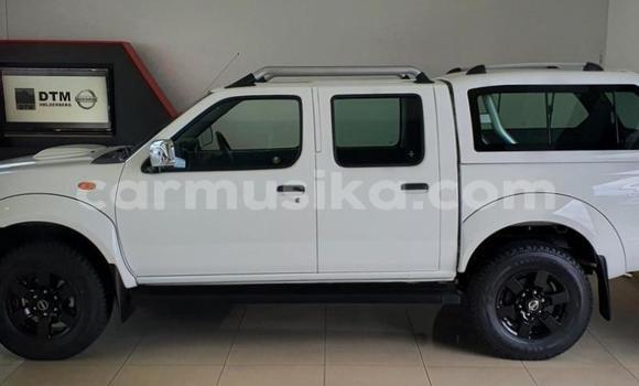 Tenga Tsaru Nissan NP 300 Chena Mota in Beitbridge in Matabeleland South Tenga Tsaru Nissan NP 300 Chena Mota in Beitbridge in Matabeleland South