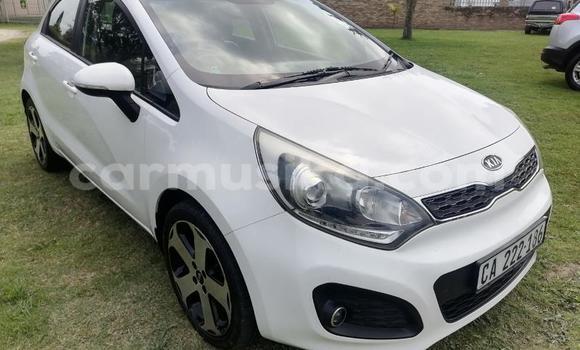 Buy Used Kia Rio White Car in Beitbridge in Matabeleland South