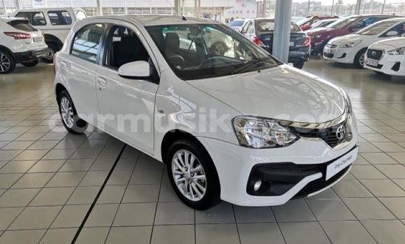 Buy Used Toyota Etios White Car in Beitbridge in Matabeleland South Buy Used Toyota Etios White Car in Beitbridge in Matabeleland South