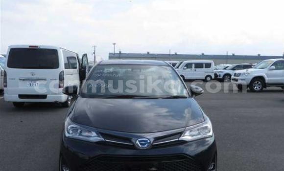 Buy Used Toyota Axio Black Car in Beitbridge in Matabeleland South