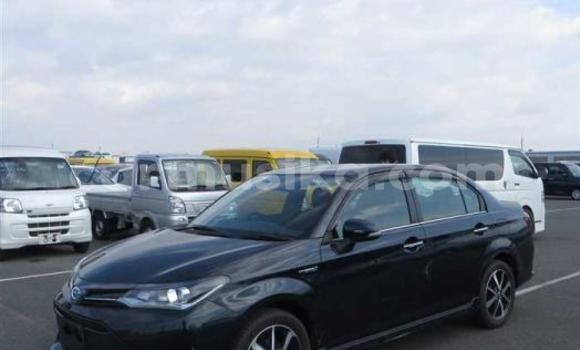 Acheter Occasion Voiture Toyota Axio Noir à Beitbridge, Matabeleland South Acheter Occasion Voiture Toyota Axio Noir à Beitbridge, Matabeleland South