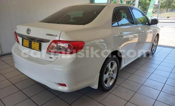 Acheter Occasion Voiture Toyota Corolla Blanc à Beitbridge, Matabeleland South Acheter Occasion Voiture Toyota Corolla Blanc à Beitbridge, Matabeleland South