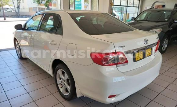 Acheter Occasion Voiture Toyota Corolla Blanc à Beitbridge, Matabeleland South Acheter Occasion Voiture Toyota Corolla Blanc à Beitbridge, Matabeleland South