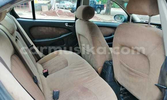 Tenga Tsaru Jaguar X–Type Bhuruu Mota in Harare in Harare Tenga Tsaru Jaguar X–Type Bhuruu Mota in Harare in Harare