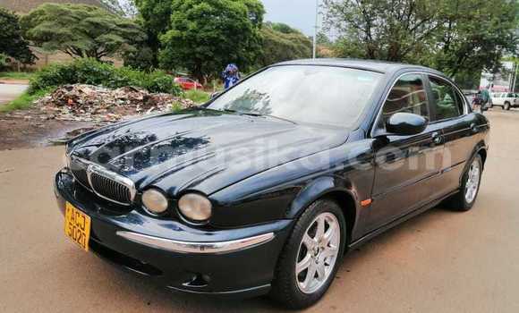 Tenga Tsaru Jaguar X–Type Bhuruu Mota in Harare in Harare Tenga Tsaru Jaguar X–Type Bhuruu Mota in Harare in Harare