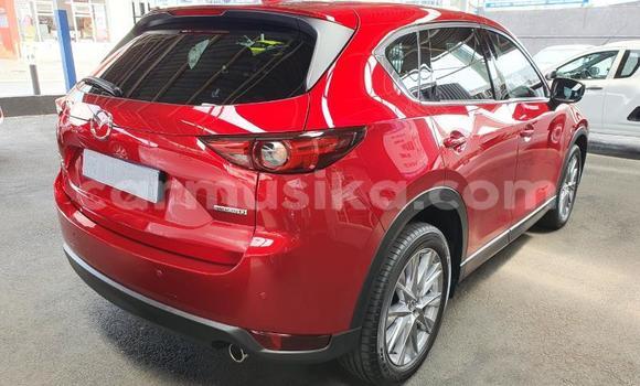 Tenga Tsaru Mazda CX-5 Tsvuku Mota in Beitbridge in Matabeleland South Tenga Tsaru Mazda CX-5 Tsvuku Mota in Beitbridge in Matabeleland South