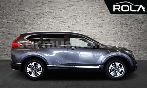 Tenga Tsaru Honda CR–V Zvimwe Mota in Bindura in Mashonaland yePakati Tenga Tsaru Honda CR–V Zvimwe Mota in Bindura in Mashonaland yePakati