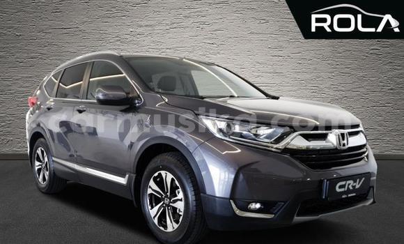 Buy Used Honda CR–V Other Car in Chinhoyi in Mashonaland West