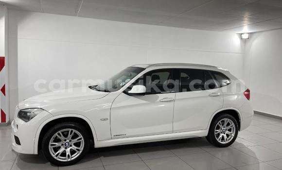 Tenga Tsaru BMW X1 Chena Mota in Beitbridge in Matabeleland South Tenga Tsaru BMW X1 Chena Mota in Beitbridge in Matabeleland South