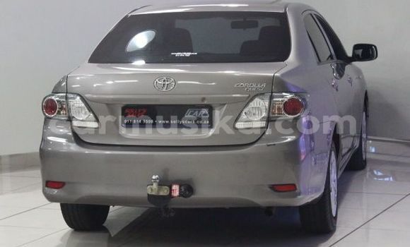 Buy Used Toyota Corolla Other Car in Beitbridge in Matabeleland South Buy Used Toyota Corolla Other Car in Beitbridge in Matabeleland South