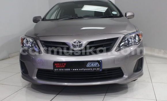 Buy Used Toyota Corolla Other Car in Beitbridge in Matabeleland South Buy Used Toyota Corolla Other Car in Beitbridge in Matabeleland South