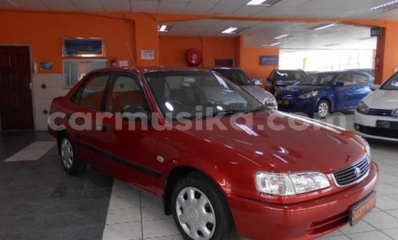 Nunua Ilio tumika Toyota Corolla Nyekundu Gari ndani ya Bindura nchini Mashonaland Central