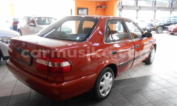 Buy Used Toyota Corolla Red Car in Bindura in Mashonaland Central Buy Used Toyota Corolla Red Car in Bindura in Mashonaland Central