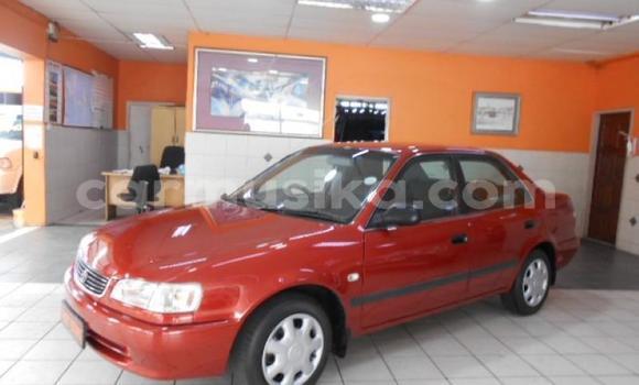 Buy Used Toyota Corolla Red Car in Bindura in Mashonaland Central Buy Used Toyota Corolla Red Car in Bindura in Mashonaland Central