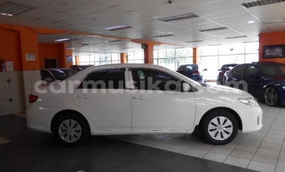 Buy Used Toyota Corolla White Car in Beitbridge in Matabeleland South Buy Used Toyota Corolla White Car in Beitbridge in Matabeleland South