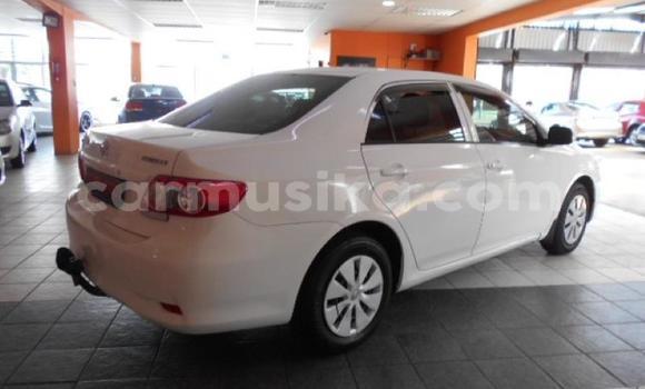 Buy Used Toyota Corolla White Car in Beitbridge in Matabeleland South Buy Used Toyota Corolla White Car in Beitbridge in Matabeleland South