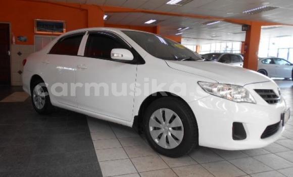 Buy Used Toyota Corolla White Car in Beitbridge in Matabeleland South Buy Used Toyota Corolla White Car in Beitbridge in Matabeleland South