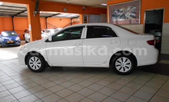 Buy Used Toyota Corolla White Car in Borrowdale in Harare Buy Used Toyota Corolla White Car in Borrowdale in Harare