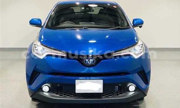 Buy Used Toyota C-HR Blue Car in Beitbridge in Matabeleland South