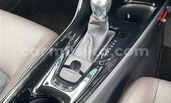 Acheter Occasion Voiture Toyota C-HR Bleu à Beitbridge, Matabeleland South Acheter Occasion Voiture Toyota C-HR Bleu à Beitbridge, Matabeleland South