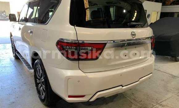 Buy Used Nissan Patrol White Car in Beitbridge in Matabeleland South Buy Used Nissan Patrol White Car in Beitbridge in Matabeleland South