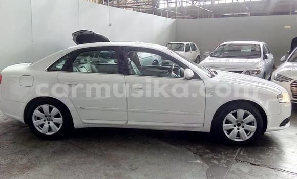 Tenga Tsaru Audi A4 Chena Mota in Beitbridge in Matabeleland South Tenga Tsaru Audi A4 Chena Mota in Beitbridge in Matabeleland South