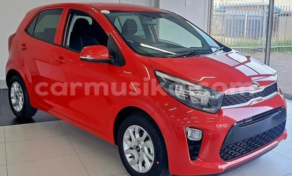 Acheter Occasion Voiture Kia Picanto Rouge à Beitbridge, Matabeleland South Acheter Occasion Voiture Kia Picanto Rouge à Beitbridge, Matabeleland South