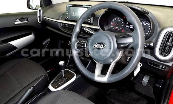 Acheter Occasion Voiture Kia Picanto Rouge à Beitbridge, Matabeleland South Acheter Occasion Voiture Kia Picanto Rouge à Beitbridge, Matabeleland South