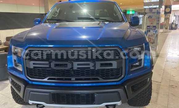 Nunua Ilio tumika Ford F–150 Bluu Gari ndani ya Beitbridge nchini Matabeleland Kusini