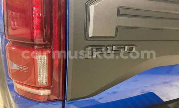 Nunua Ilio tumika Ford F–150 Bluu Gari ndani ya Beitbridge nchini Matabeleland Kusini Nunua Ilio tumika Ford F–150 Bluu Gari ndani ya Beitbridge nchini Matabeleland Kusini