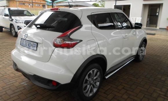 Tenga Tsaru Nissan Juke Chena Mota in Beitbridge in Matabeleland South Tenga Tsaru Nissan Juke Chena Mota in Beitbridge in Matabeleland South