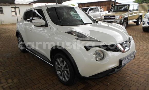 Tenga Tsaru Nissan Juke Chena Mota in Beitbridge in Matabeleland South Tenga Tsaru Nissan Juke Chena Mota in Beitbridge in Matabeleland South