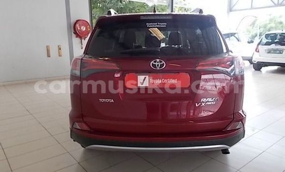 Buy Used Toyota RAV4 Red Car in Beitbridge in Matabeleland South Buy Used Toyota RAV4 Red Car in Beitbridge in Matabeleland South