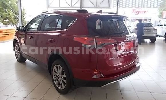 Buy Used Toyota RAV4 Red Car in Beitbridge in Matabeleland South Buy Used Toyota RAV4 Red Car in Beitbridge in Matabeleland South
