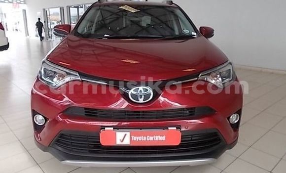 Buy Used Toyota RAV4 Red Car in Beitbridge in Matabeleland South Buy Used Toyota RAV4 Red Car in Beitbridge in Matabeleland South