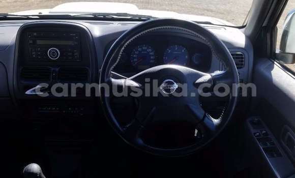 Buy Used Isuzu KB White Car in Beitbridge in Matabeleland South Buy Used Isuzu KB White Car in Beitbridge in Matabeleland South