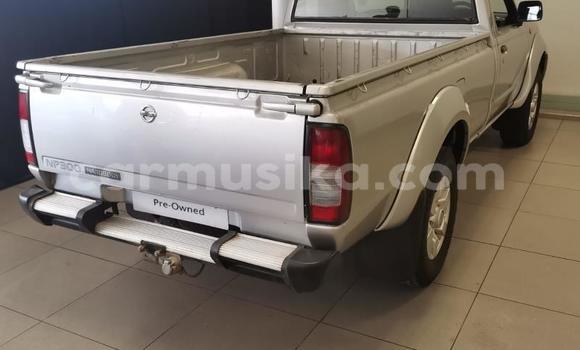 Acheter Occasion Voiture Nissan NP 300 Gris à Beitbridge, Matabeleland South Acheter Occasion Voiture Nissan NP 300 Gris à Beitbridge, Matabeleland South
